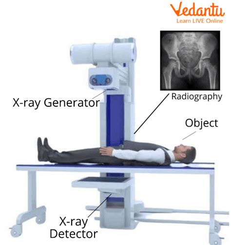 хентай x ray|X.